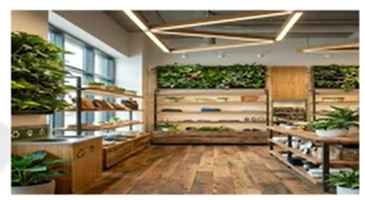 Eco-Chic Green Design