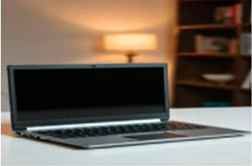 Professional Laptop